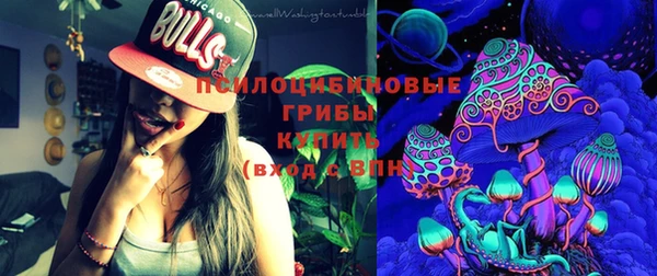 mix Белокуриха