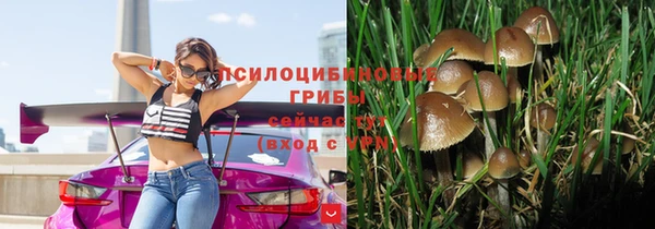 стафф Уссурийск