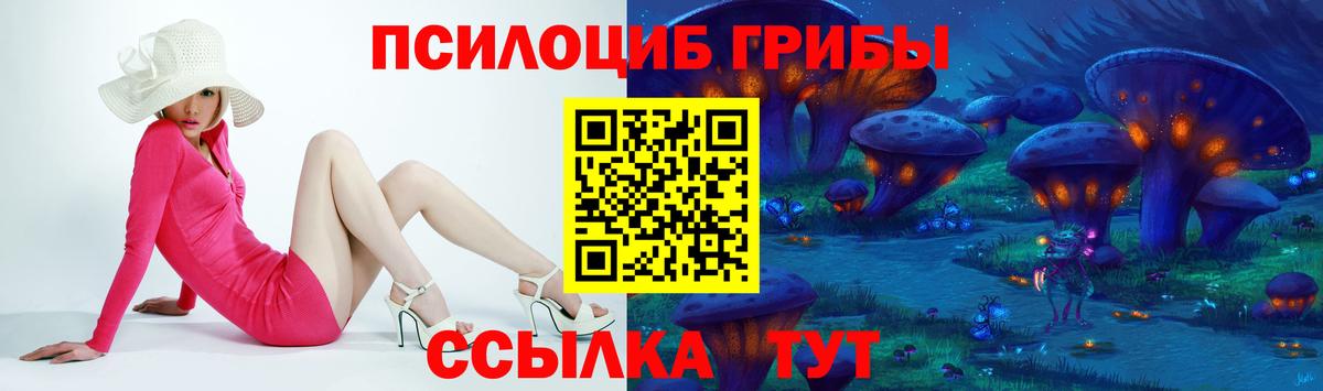 Галлюциногенные грибы Psilocybine cubensis Бирск